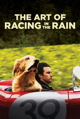 is the art of racing in the rain a true story